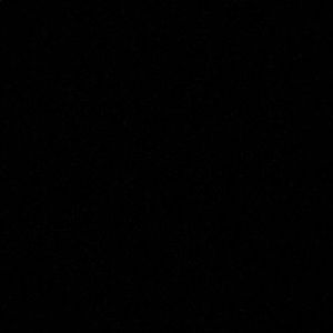 Meet your Posher, Darius